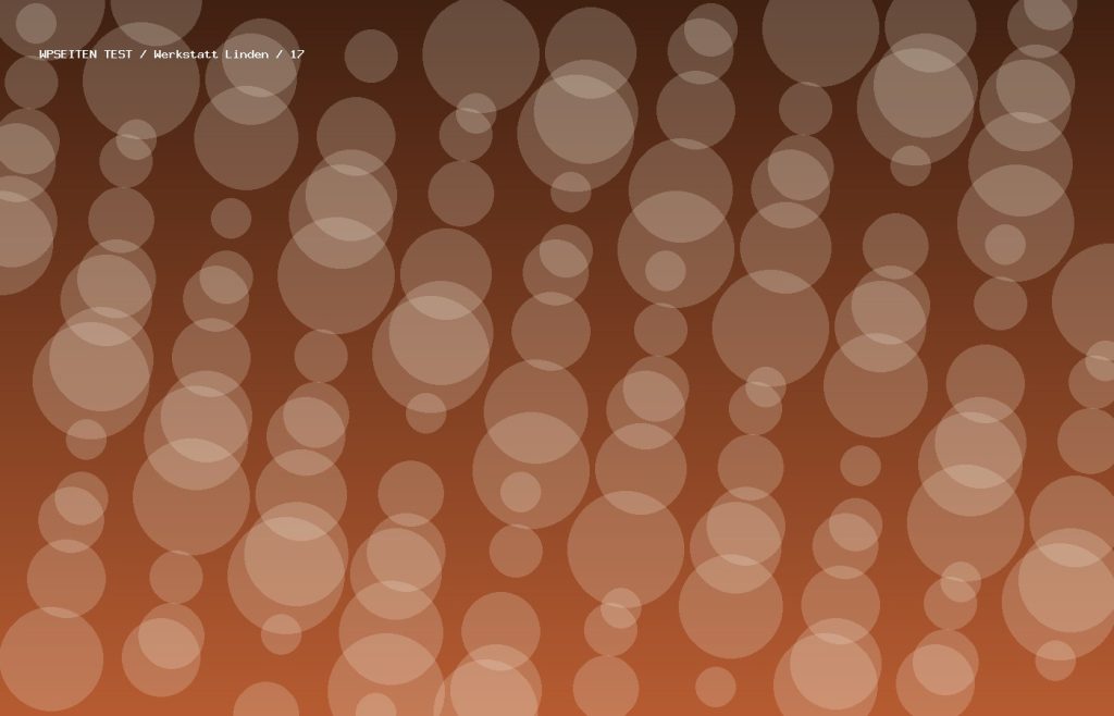 Synthetisches Testmotiv 17